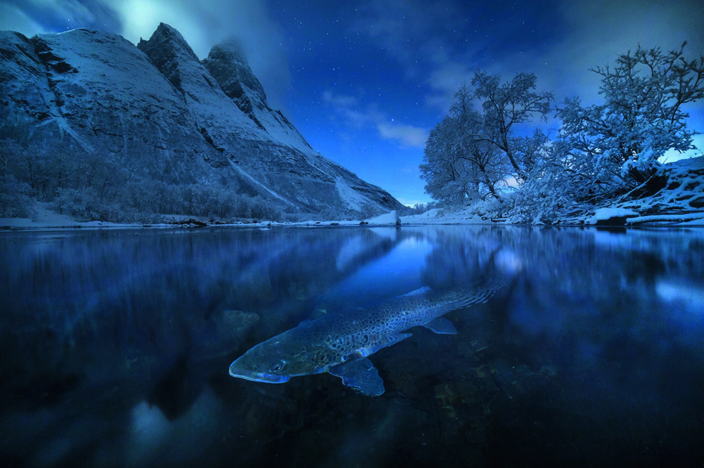 Fjellbilde