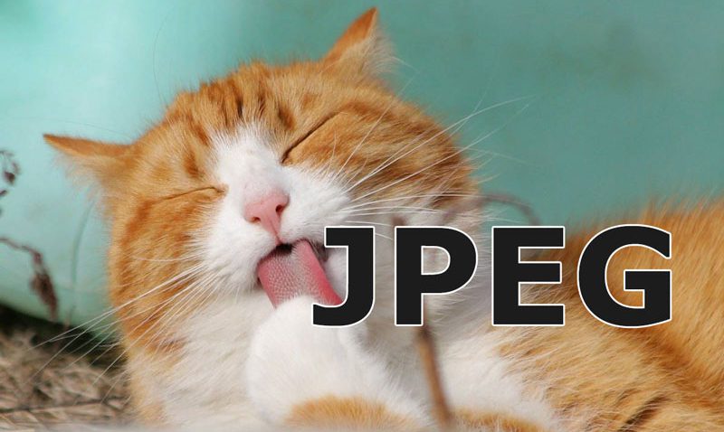 bilete1